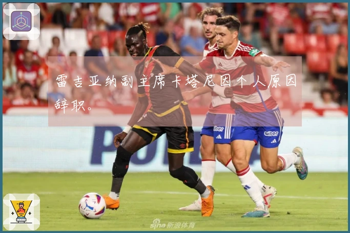 雷吉亚纳副主席卡塔尼因个人原因辞职。