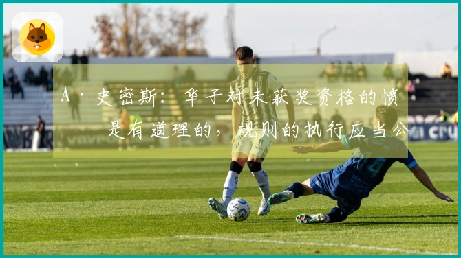 A·史密斯：华子对未获奖资格的愤怒是有道理的，规则的执行应当公平